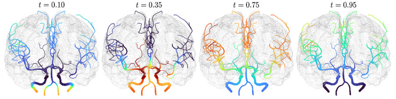 Simulations based on a mathematical model of time-dependent blood flow fields